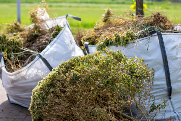 Best Electronics Removal Services  in Buckhannon, WV