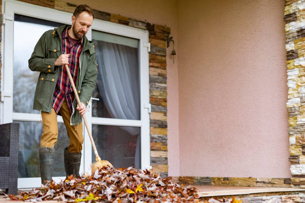Best Junk Removal Near Me  in Buckhannon, WV