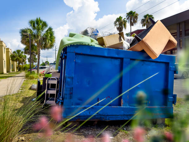 Best Affordable Junk Removal Services  in Buckhannon, WV